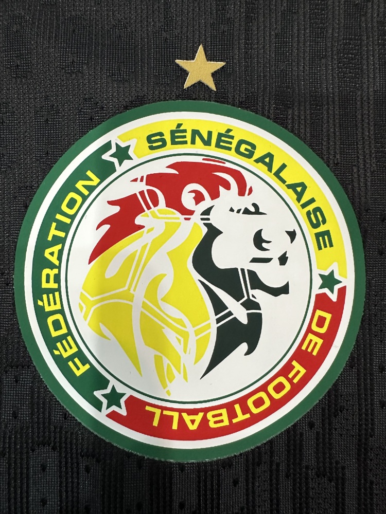 Senegal Authentic Soccer Jersey Third Away Shirt 2025