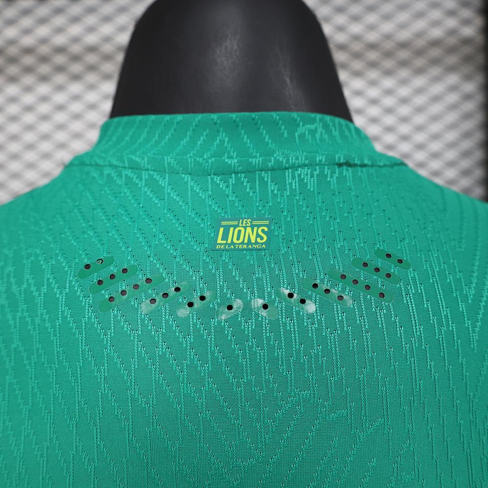 Senegal Authentic Soccer Jersey Away Shirt 2025