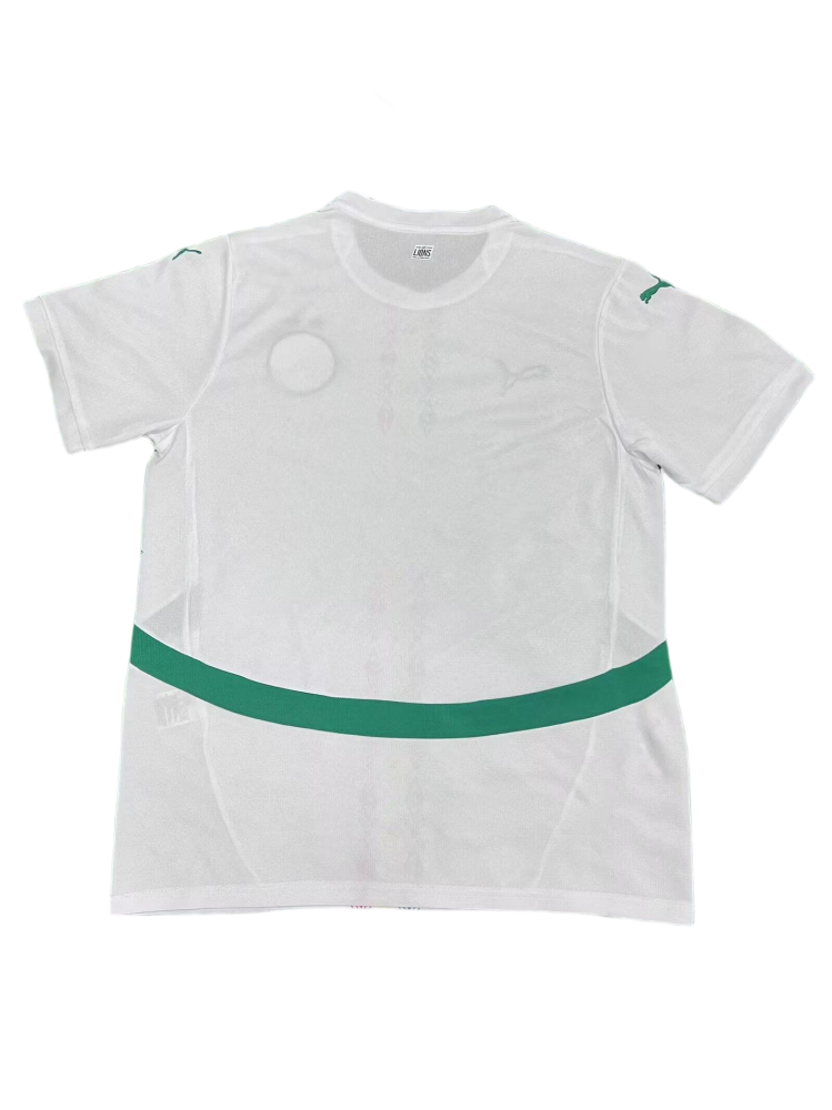 Senegal Soccer Jersey Home Custom Shirt 2025 - Two Stars