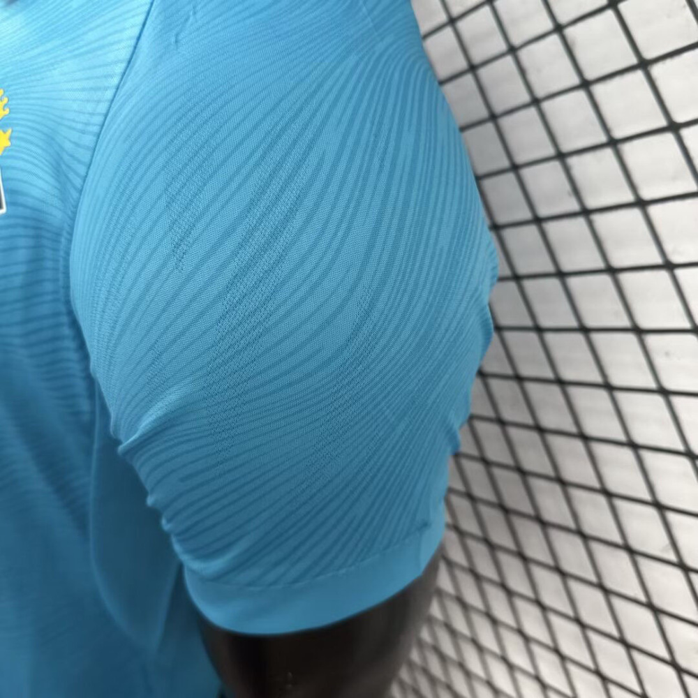 Santos FC Authentic Soccer Jersey Third Away Shirt 2025