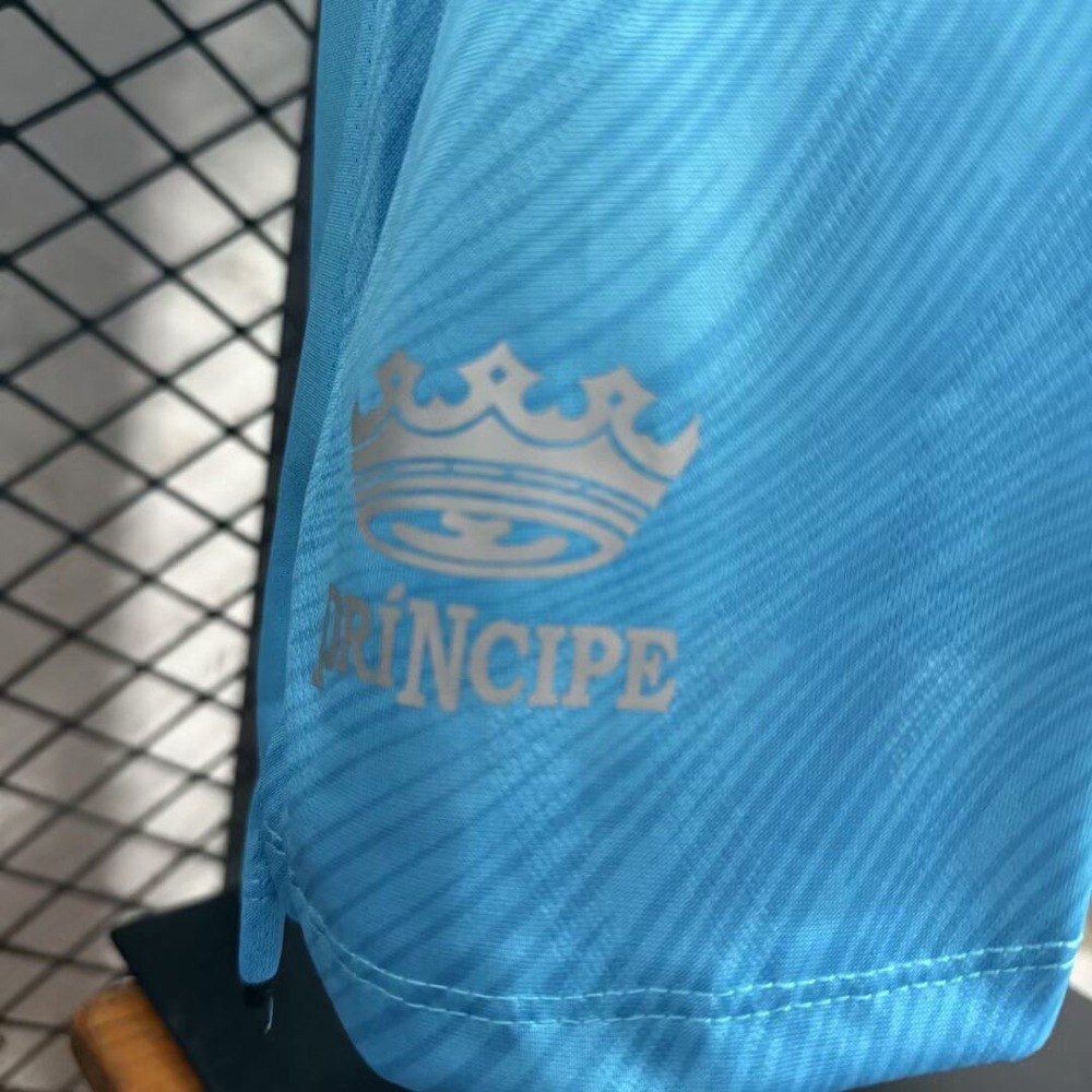 Santos FC Authentic Soccer Jersey Third Away Shirt 2025