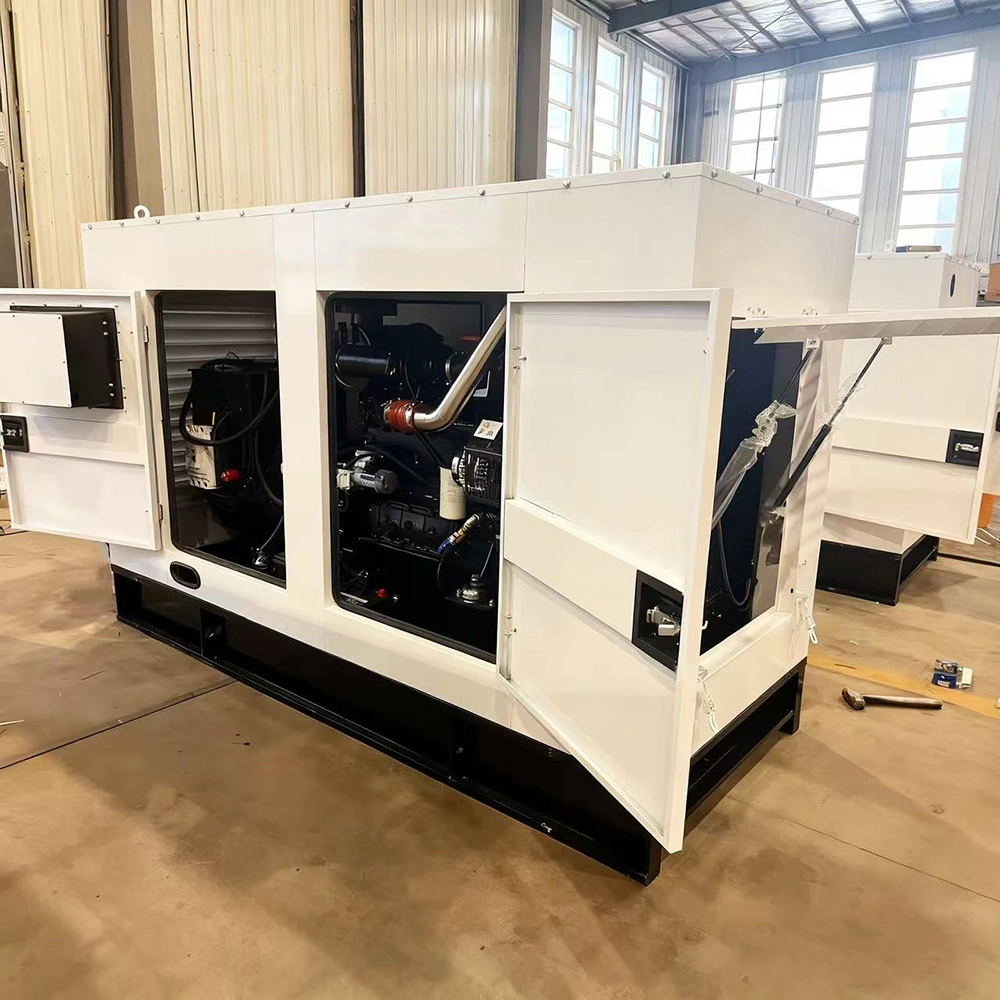 Container diesel generator structure and exterior reference