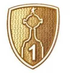 Campeão da Copa Libertadores 1 vez