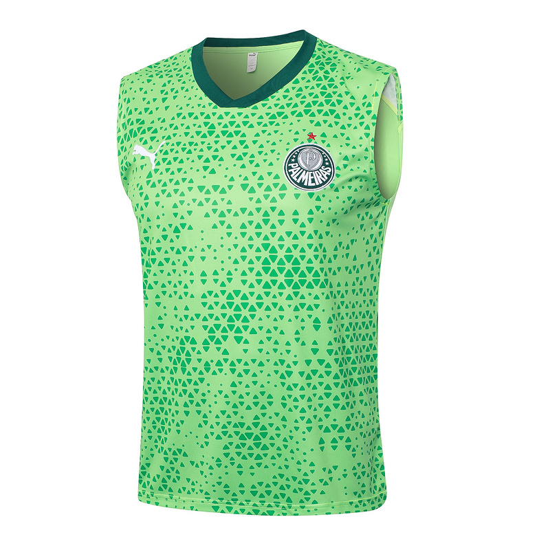24/25 Palmeiras Green raining Set Shirt and Shorts