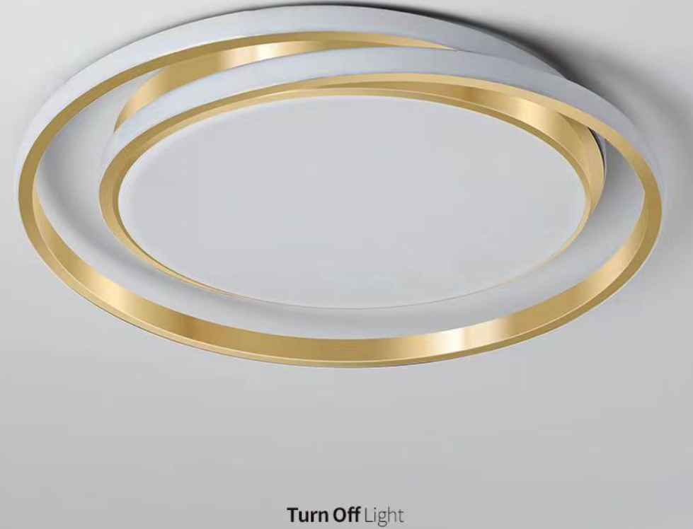 Lunar Ring LED Ceiling Light