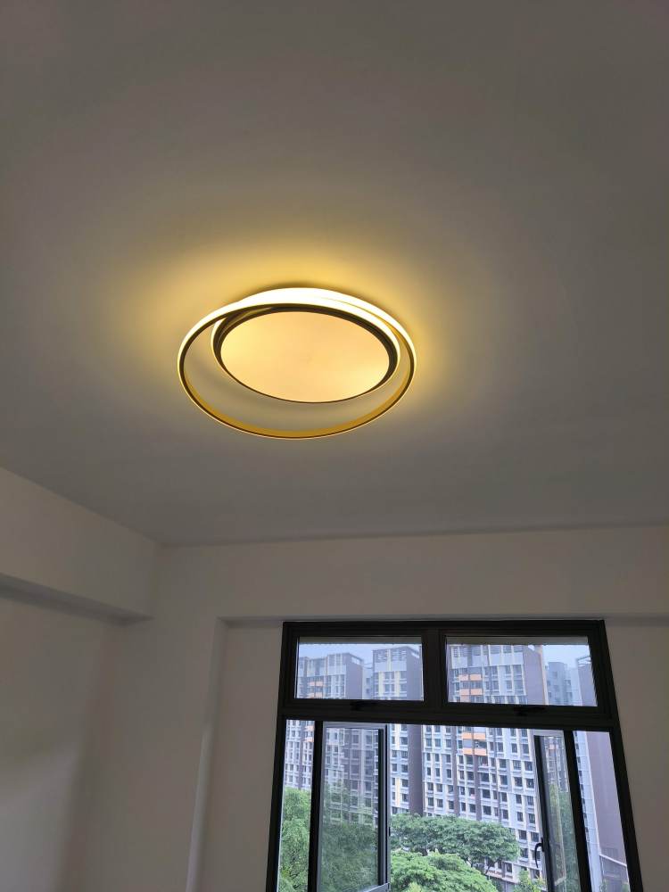 Lunar Ring LED Ceiling Light