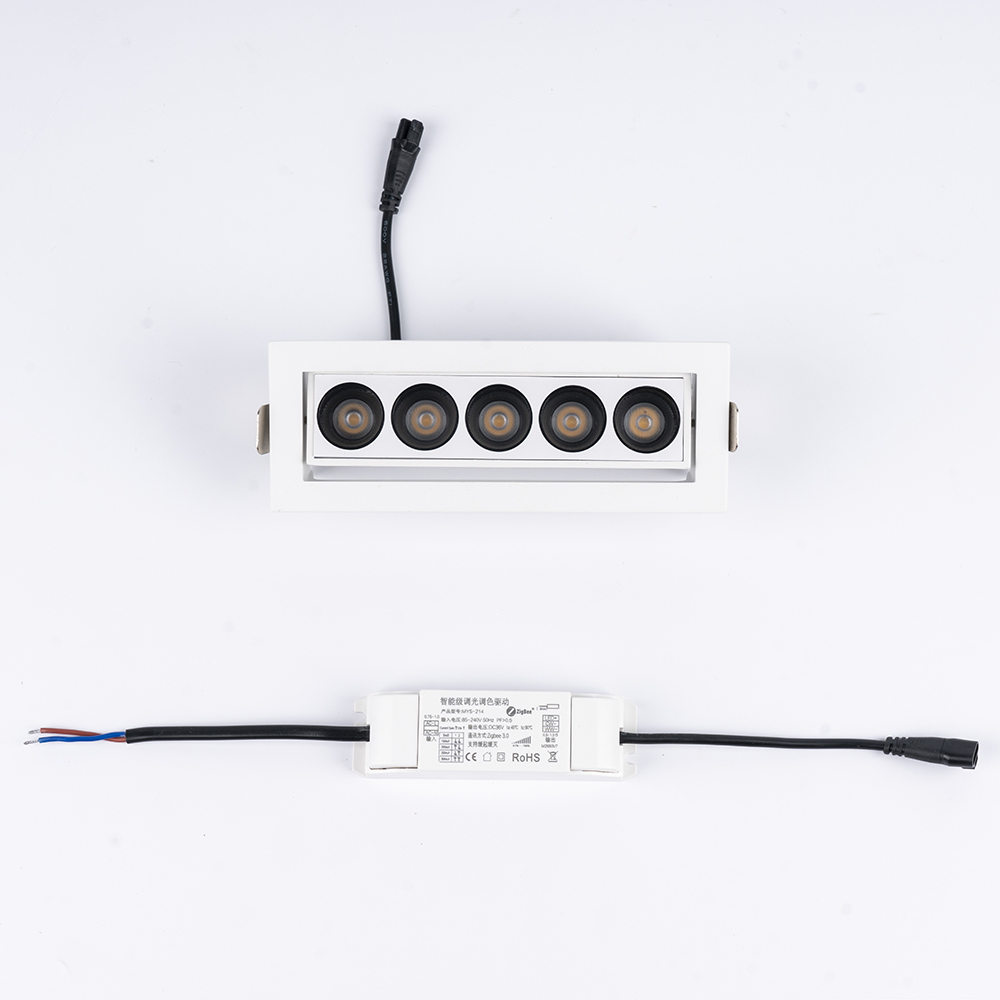 Embedded angle adjustable grille light