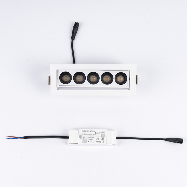 Embedded angle adjustable grille light