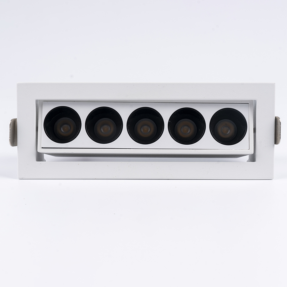 Embedded angle adjustable grille light