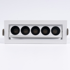 Embedded angle adjustable grille light