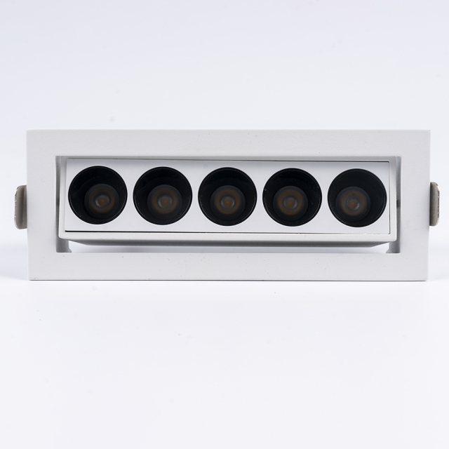 Embedded angle adjustable grille light