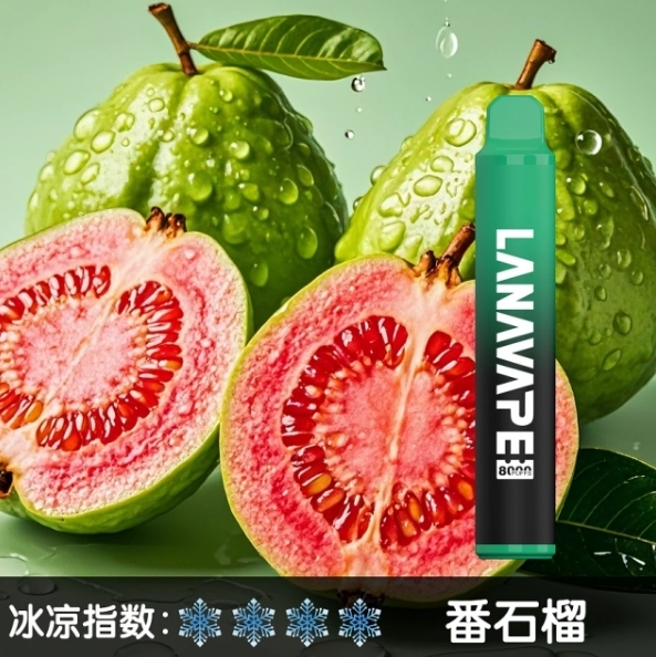 LANA 8000口 拋棄式Q倉