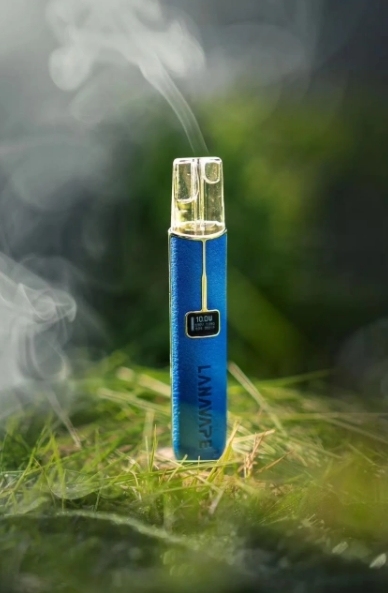 LANA 一代皮革主機 TD倉