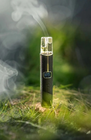 LANA 一代皮革主機 TD倉