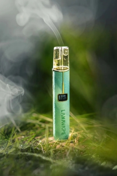 LANA 一代皮革主機 TD倉