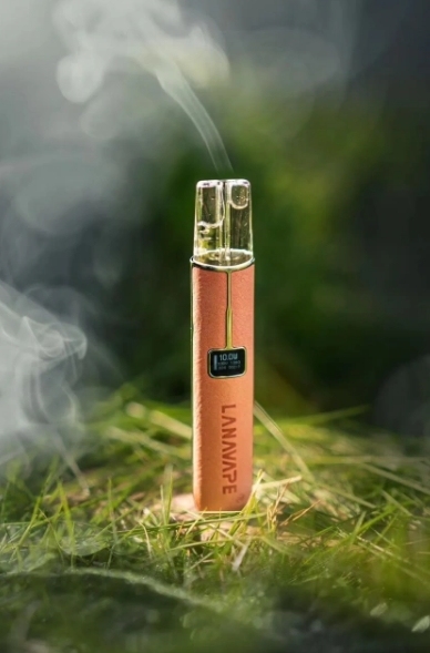 LANA 一代皮革主機 TD倉