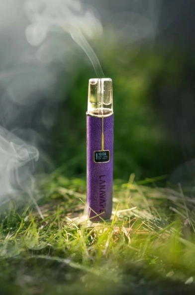 LANA 一代皮革主機 TD倉