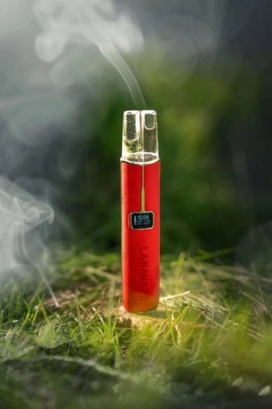 LANA 一代皮革主機 TD倉