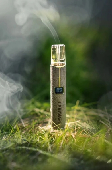 LANA 一代皮革主機 TD倉