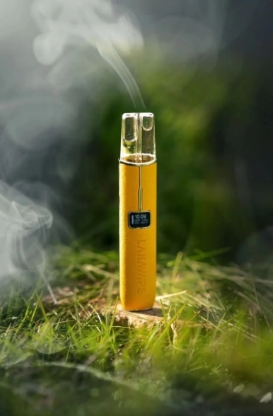 LANA 一代皮革主機 TD倉