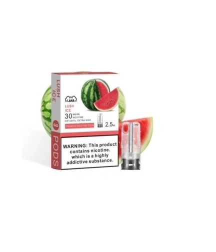 LANA 一代蛋 TD倉