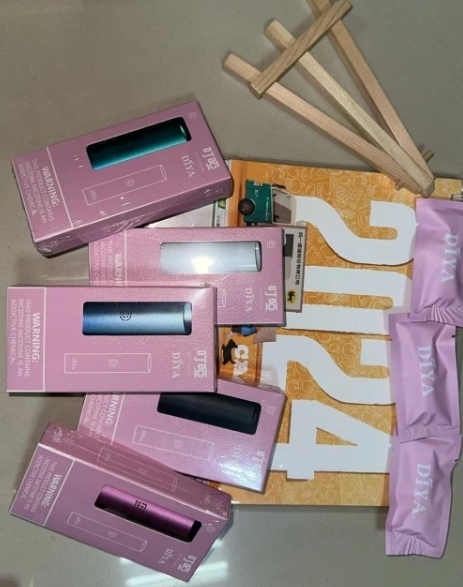 DIYA 一代普通主機L倉