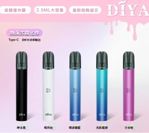 DIYA 一代普通主機L倉
