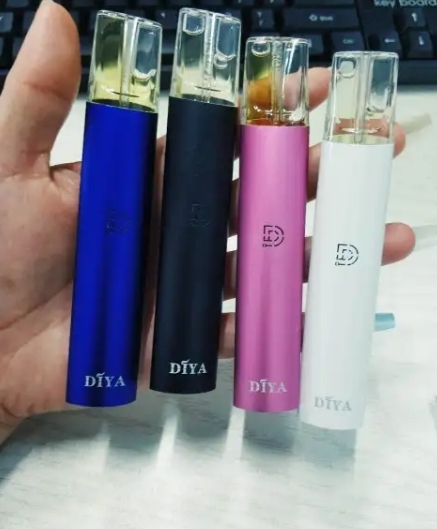 DIYA 一代普通主機L倉