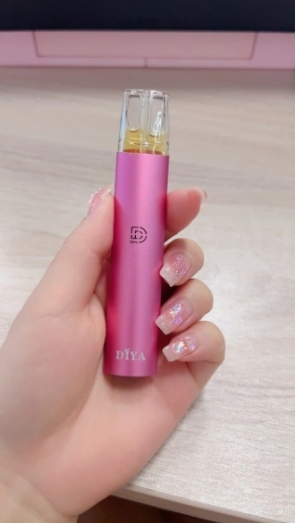 DIYA 一代普通主機L倉