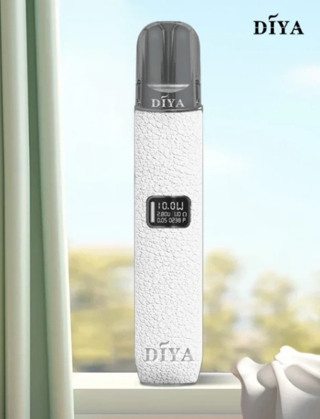 DIYA 一代皮革主機 L倉