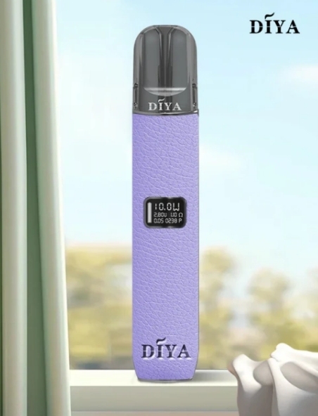 DIYA 一代皮革主機 L倉