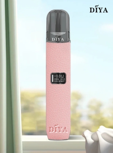 DIYA 一代皮革主機 L倉