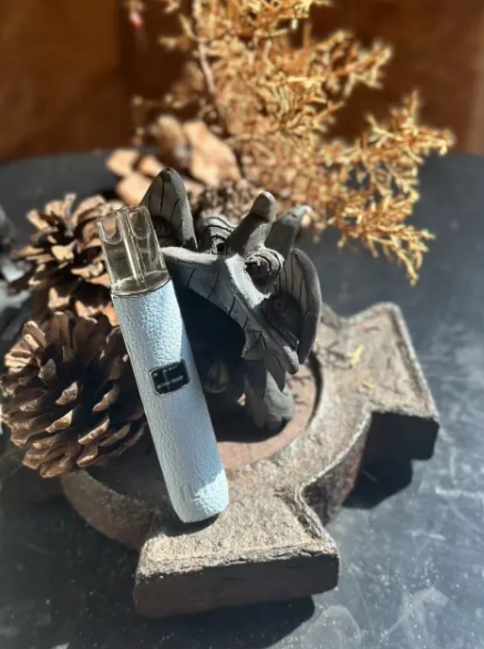 ILIA 一代布紋主機L倉【全場只賣正品]