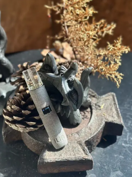 ILIA 一代布紋主機L倉【全場只賣正品]