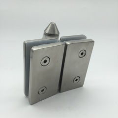 Self Close Glass Pool Hinge