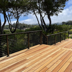 Stainless Steel Black Stair Post