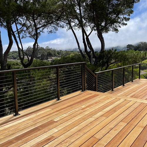 Stainless Steel Black Stair Post