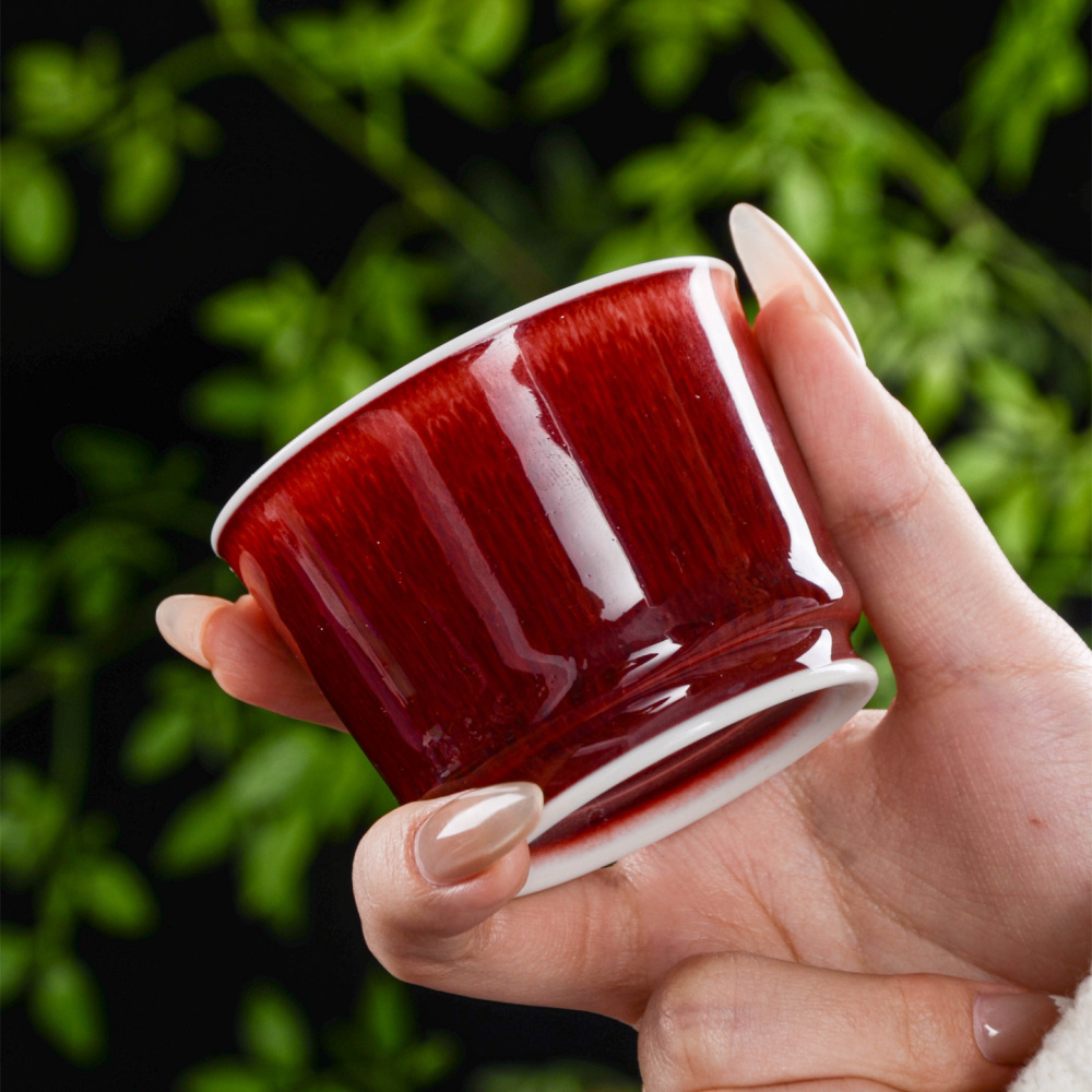 🔥 Langhong Glaze Gongfu Tea Set