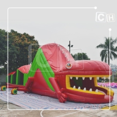 Advertising Indlatables