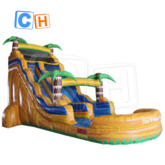 CH Commercial Colorful Theme Inflatable Water Slides Outdoor Inflatable Playground Water Slide PVC Inflatable Big Iumping Slide