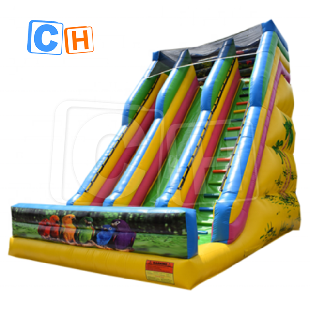 CH New Arrival Adults And Kids Inflatable Water Slide With Big Inflatable Pool Slide Inflatable Dry Slides Outdoor