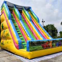 CH New Arrival Adults And Kids Inflatable Water Slide With Big Inflatable Pool Slide Inflatable Dry Slides Outdoor