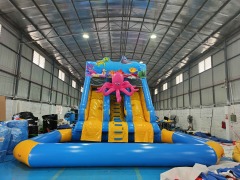 Affordable Inflatable Water Slides