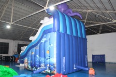 inflatable double water slide