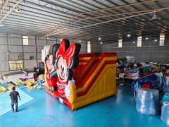 Commercial Bounce House