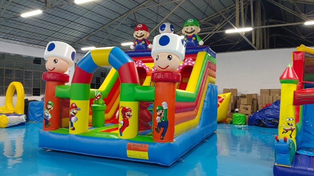 Bouncy House for Sale CH-IS101