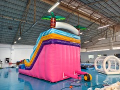 Inflatable Water Slides - Wholesale Inflatable Water Slide