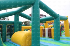 Adult Inflatable Park