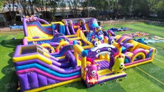Inflatable Fun Park