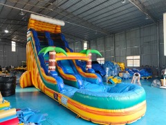 Commercial Water Slides For Adults CH-WS2401